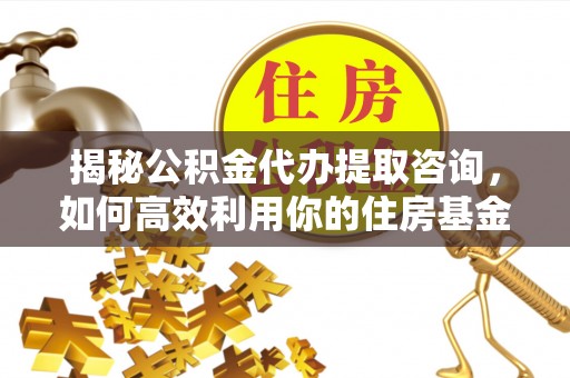 沙溪揭秘公积金代办提取咨询，如何高效利用你的住房基金