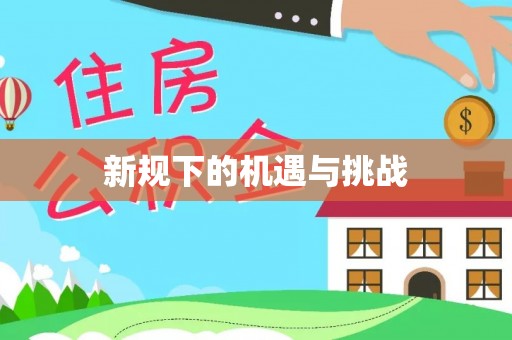 沙溪新规下的机遇与挑战
