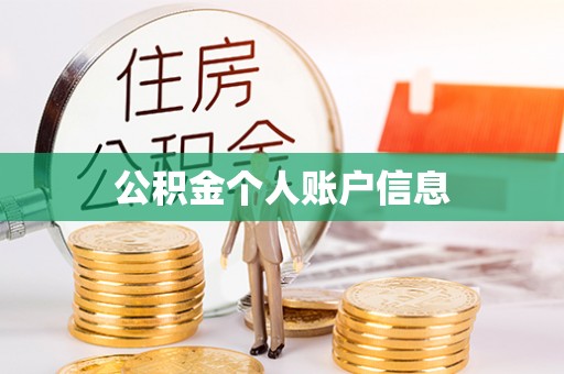 沙溪公积金个人账户信息