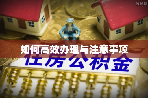 沙溪如何高效办理与注意事项