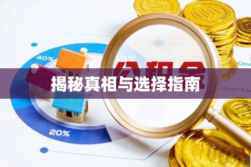 沙溪揭秘真相与选择指南