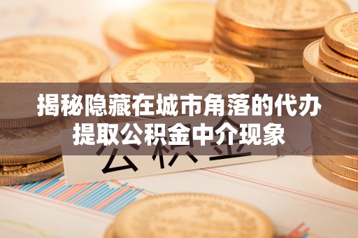 沙溪揭秘隐藏在城市角落的代办提取公积金中介现象