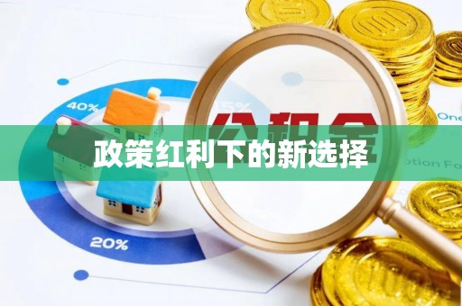 沙溪政策红利下的新选择