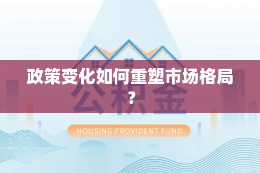 沙溪政策变化如何重塑市场格局？
