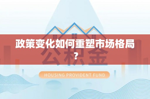 沙溪政策变化如何重塑市场格局？