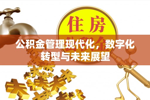 沙溪公积金管理现代化，数字化转型与未来展望