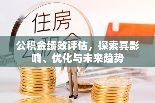 沙溪公积金绩效评估，探索其影响、优化与未来趋势