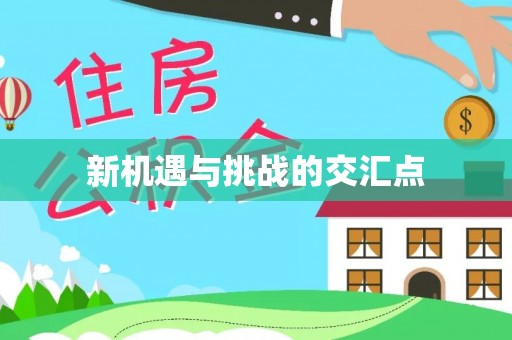沙溪新机遇与挑战的交汇点