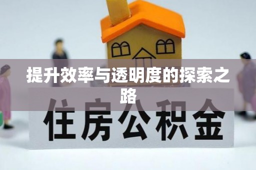 沙溪提升效率与透明度的探索之路