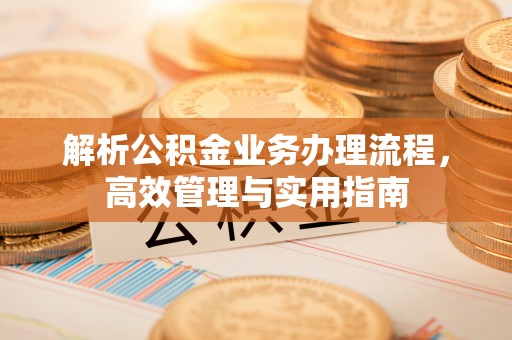 沙溪解析公积金业务办理流程，高效管理与实用指南