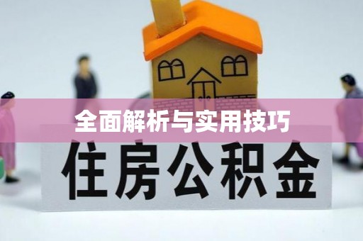 沙溪全面解析与实用技巧