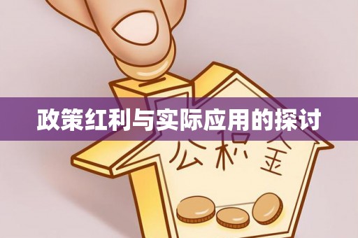 沙溪政策红利与实际应用的探讨