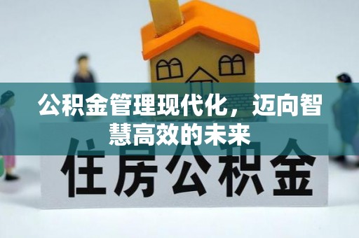 沙溪公积金管理现代化，迈向智慧高效的未来
