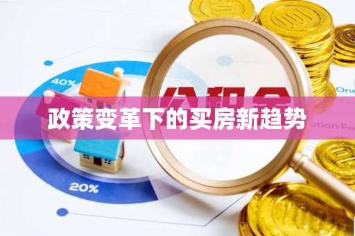 沙溪政策变革下的买房新趋势