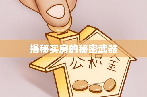 沙溪揭秘买房的秘密武器
