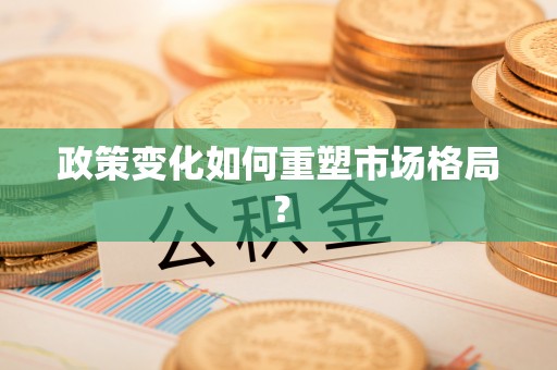 沙溪政策变化如何重塑市场格局？