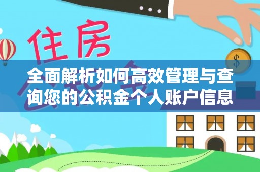 沙溪全面解析如何高效管理与查询您的公积金个人账户信息