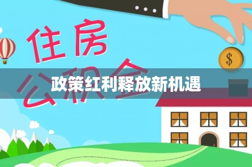 沙溪政策红利释放新机遇