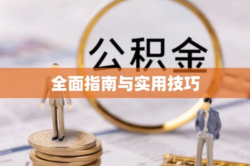沙溪全面指南与实用技巧