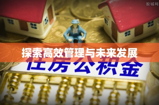 沙溪探索高效管理与未来发展
