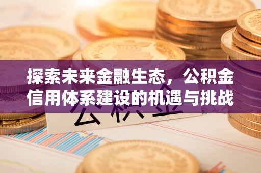沙溪探索未来金融生态，公积金信用体系建设的机遇与挑战