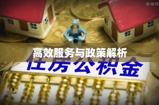 沙溪高效服务与政策解析