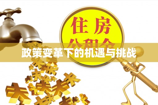 沙溪政策变革下的机遇与挑战