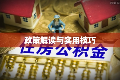 沙溪政策解读与实用技巧