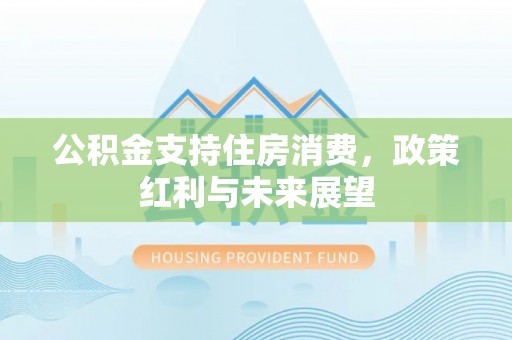 沙溪公积金支持住房消费，政策红利与未来展望