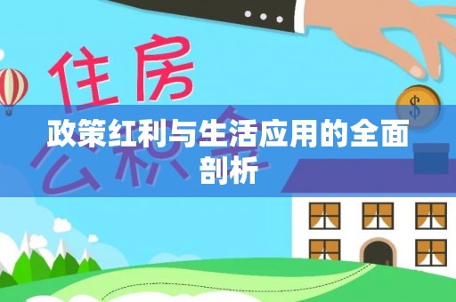沙溪政策红利与生活应用的全面剖析