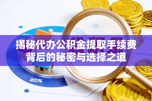 沙溪揭秘代办公积金提取手续费背后的秘密与选择之道