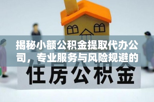 沙溪揭秘小额公积金提取代办公司，专业服务与风险规避的平衡艺术