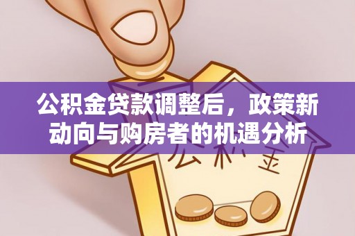 沙溪公积金贷款调整后，政策新动向与购房者的机遇分析