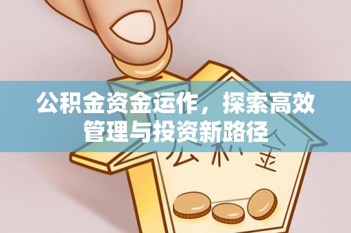 沙溪公积金资金运作，探索高效管理与投资新路径