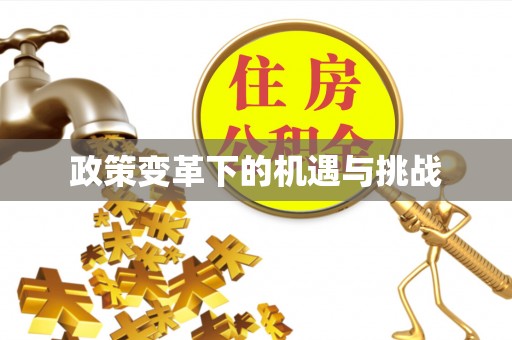 沙溪政策变革下的机遇与挑战