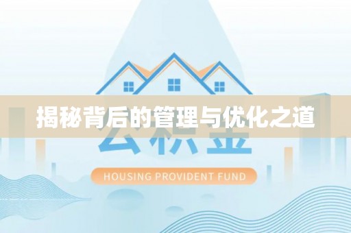 沙溪揭秘背后的管理与优化之道