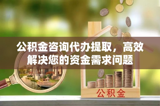 沙溪公积金咨询代办提取，高效解决您的资金需求问题