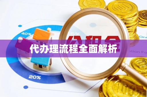 沙溪代办理流程全面解析