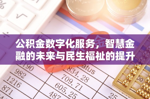 沙溪公积金数字化服务，智慧金融的未来与民生福祉的提升