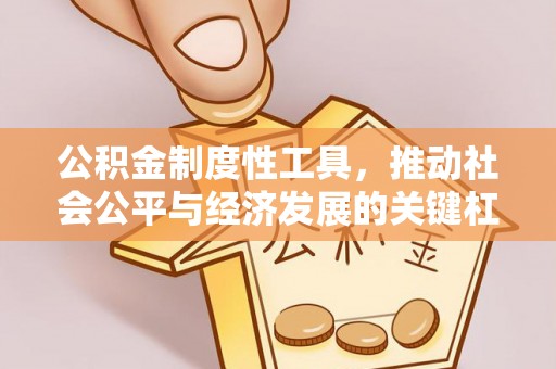 沙溪公积金制度性工具，推动社会公平与经济发展的关键杠杆