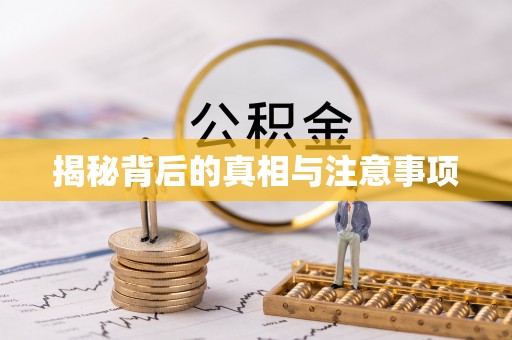 沙溪揭秘背后的真相与注意事项