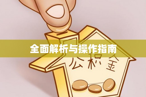 沙溪全面解析与操作指南