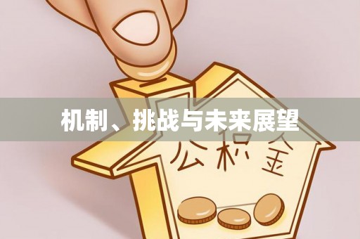 沙溪机制、挑战与未来展望