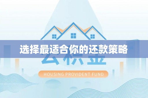 沙溪选择最适合你的还款策略