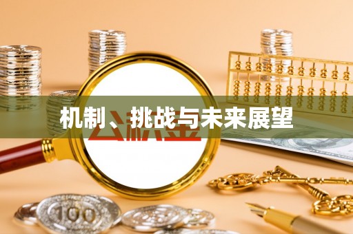 沙溪机制、挑战与未来展望